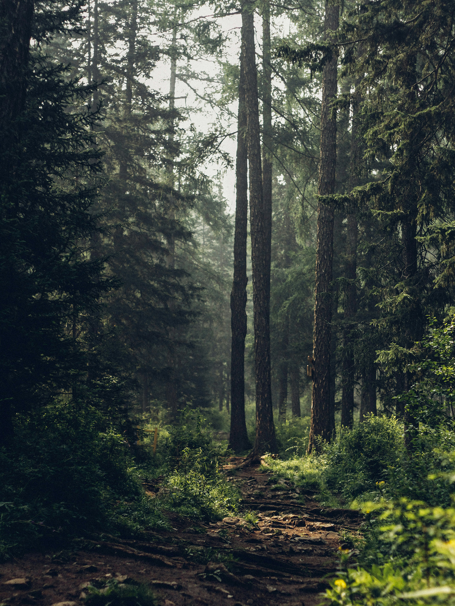 Camp de jour besoins particuliers